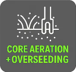 Core aeration and overseeding
